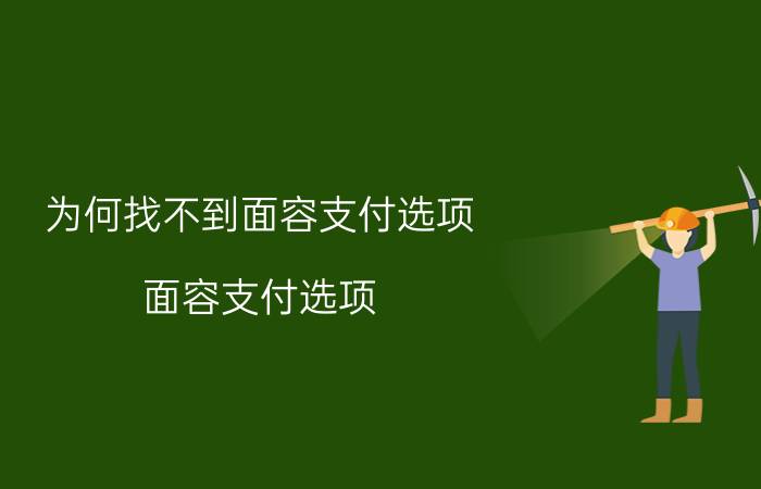 为何找不到面容支付选项 面容支付选项